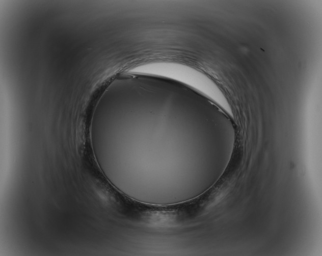 X0000086760303200704201750