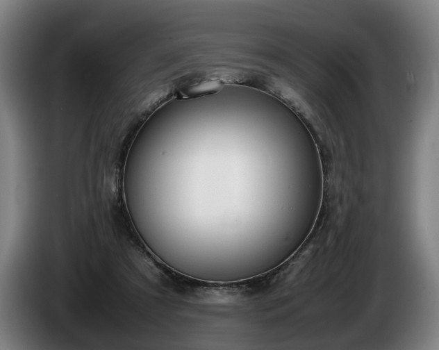 X0000086760305200704201750