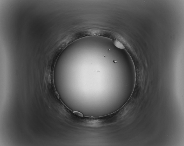 X0000086760313200704201750