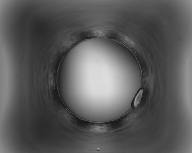 X0000086760317200704201750