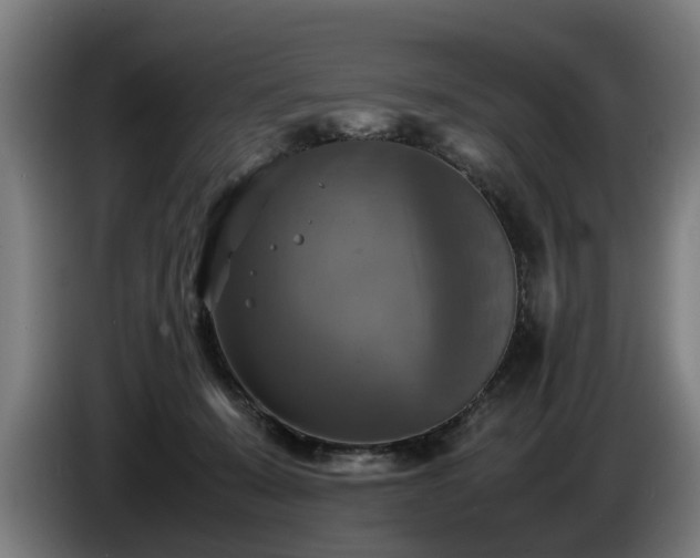 X0000086760319200704201750