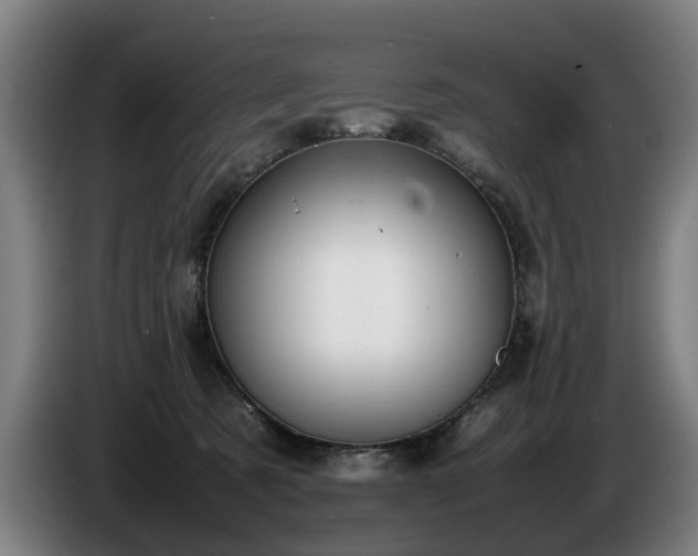 X0000086760321200704201750