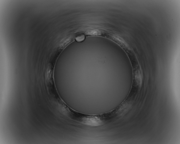 X0000086760322200704201750