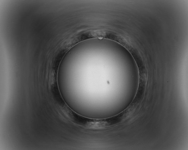 X0000086760323200704201750