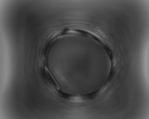 X0000086760325200704201750