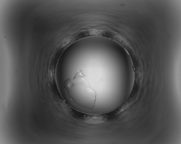 X0000086760329200704201750