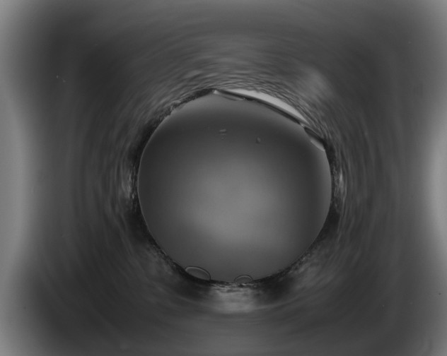 X0000086760331200704201750