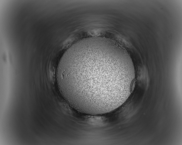 X0000086760332200704201750