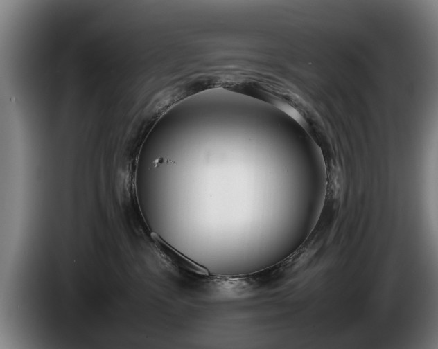 X0000086760333200704201750