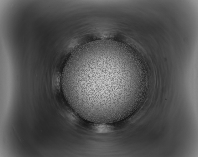 X0000086760336200704201750