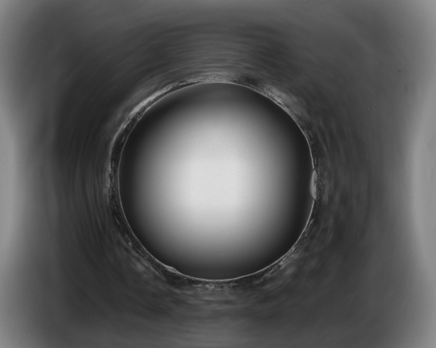 X0000086760338200704201749