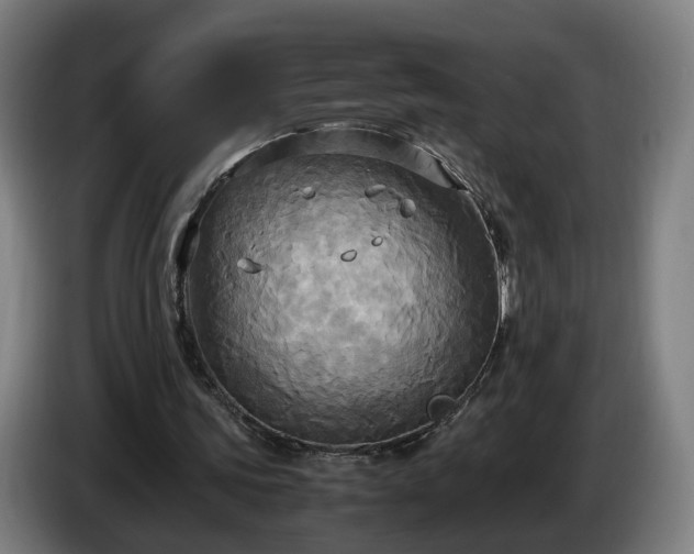 X0000086760339200704201749