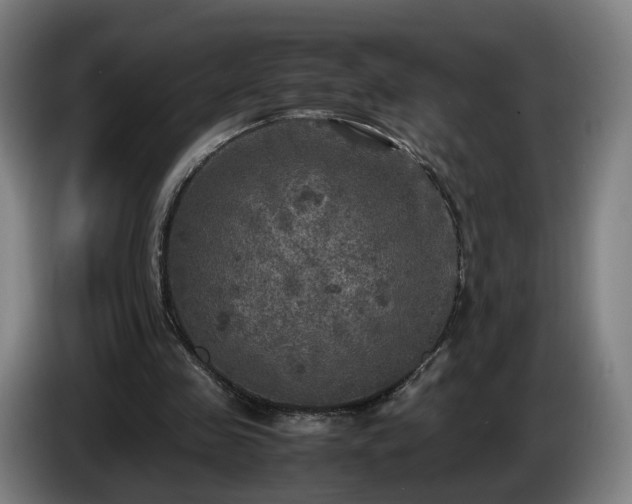 X0000086760341200704201749
