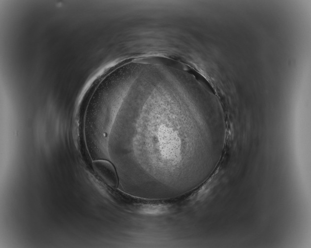 X0000086760342200704201749