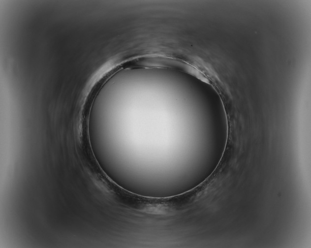 X0000086760344200704201749