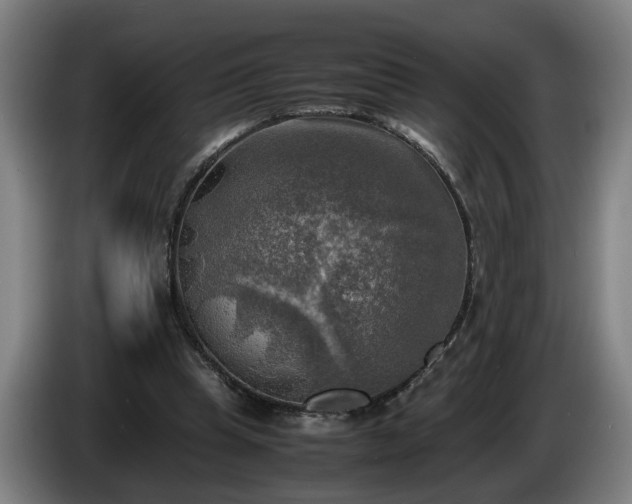 X0000086760345200704201749