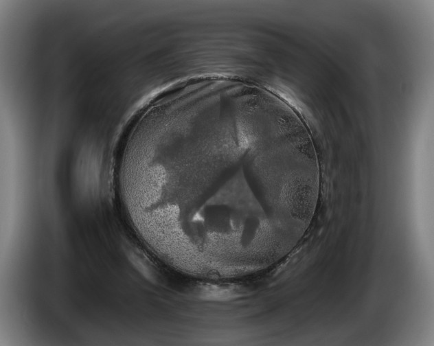 X0000086760346200704201749