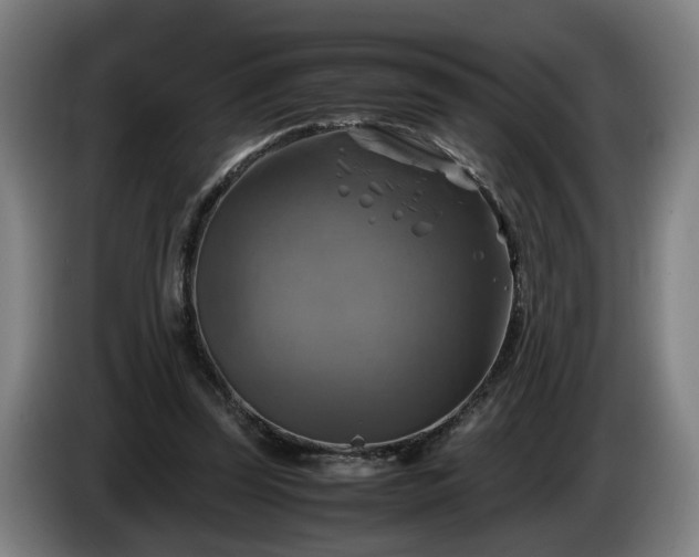 X0000086760347200704201749