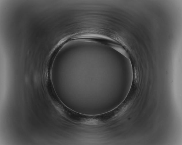 X0000086760348200704201749