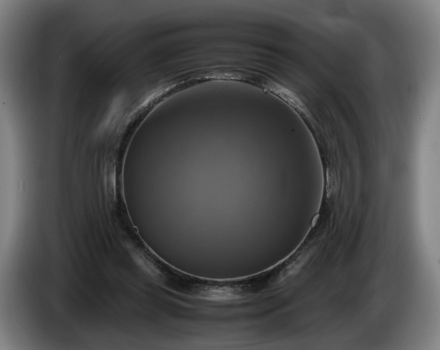 X0000086760349200704201749