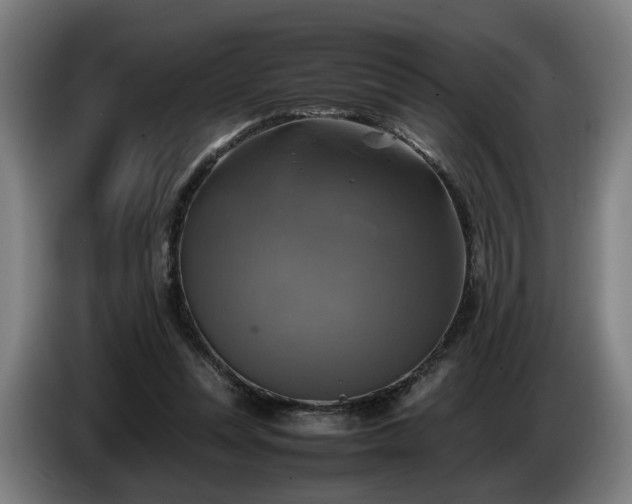 X0000086760351200704201749