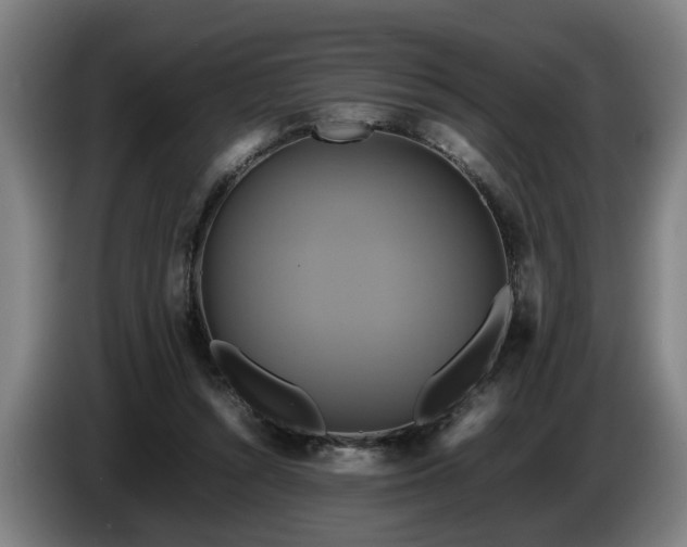 X0000086760352200704201749