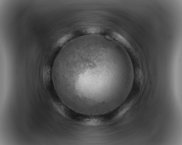X0000086760356200704201749
