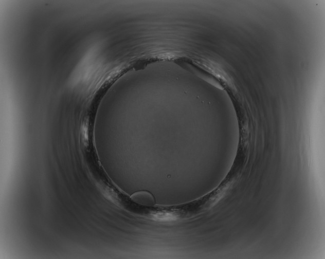 X0000086760358200704201749