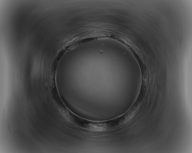 X0000086760359200704201749