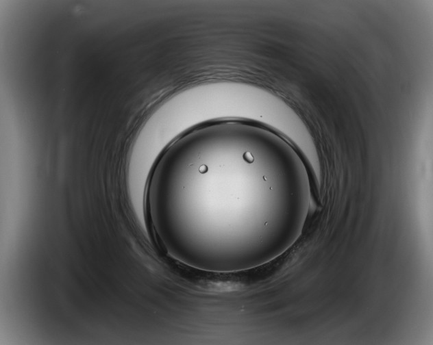 X0000086760360200704201749