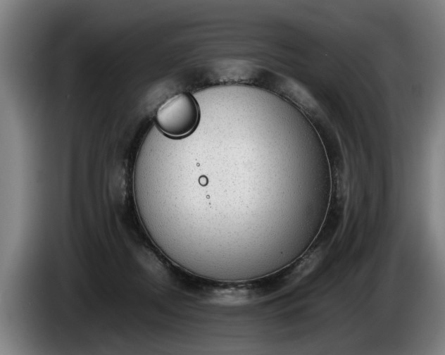 X0000086760362200704201749