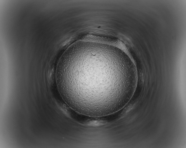 X0000086760364200704201749
