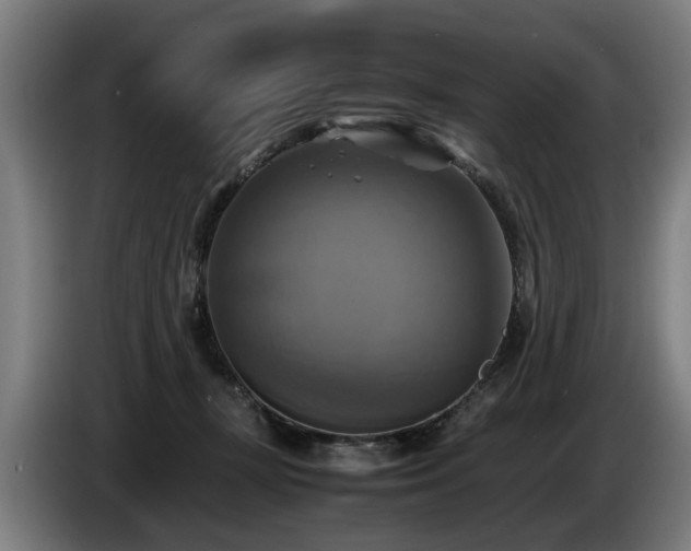 X0000086760367200704201750