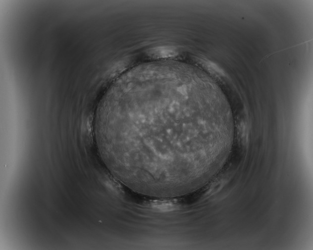 X0000086760373200704201750