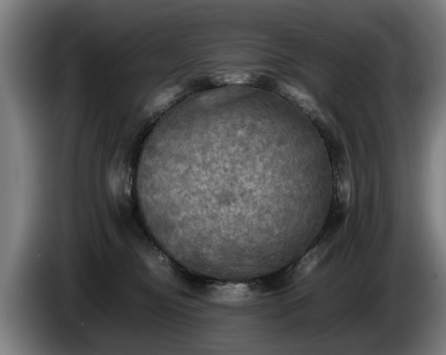 X0000086760374200704201750