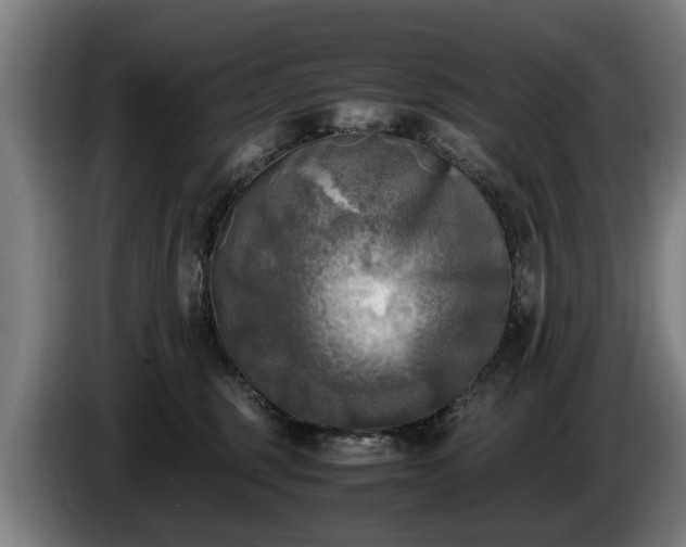 X0000086760375200704201750