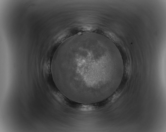 X0000086760376200704201750