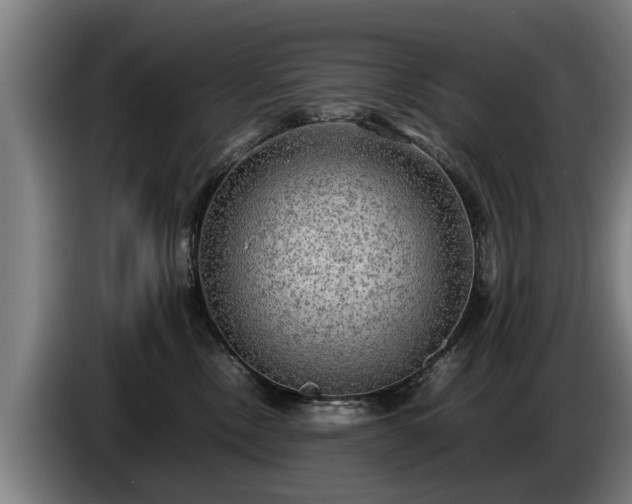 X0000086760378200704201750