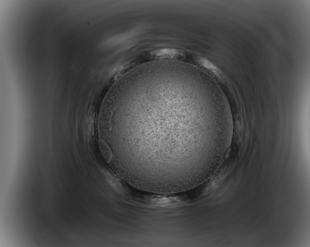 X0000086760379200704201750