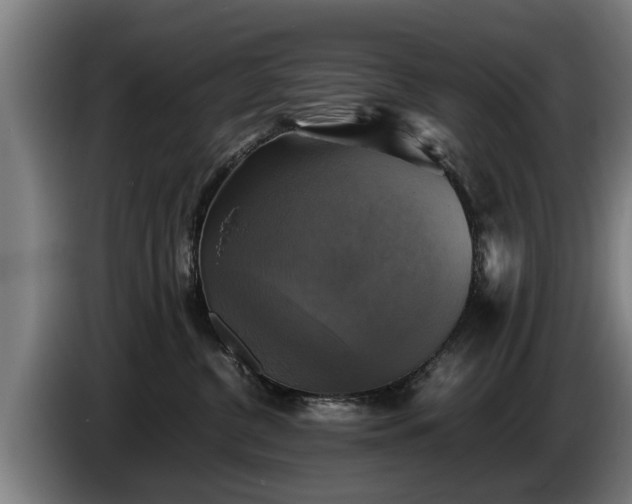 X0000086760380200704201750