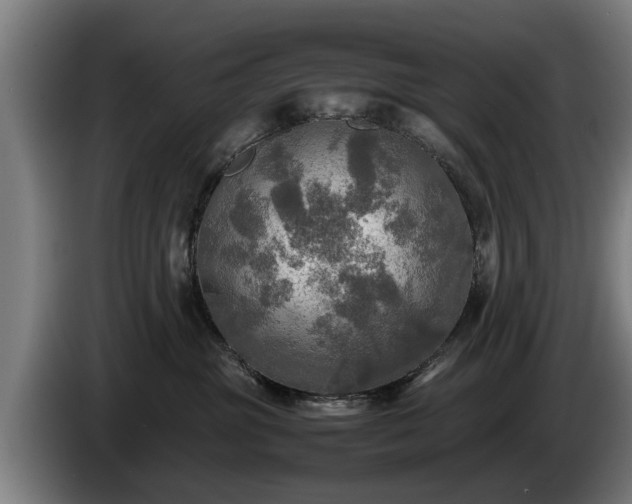 X0000086760381200704201750