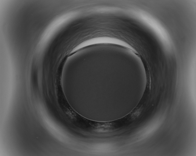 X0000086760382200704201750