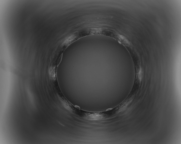 X0000086760383200704201750