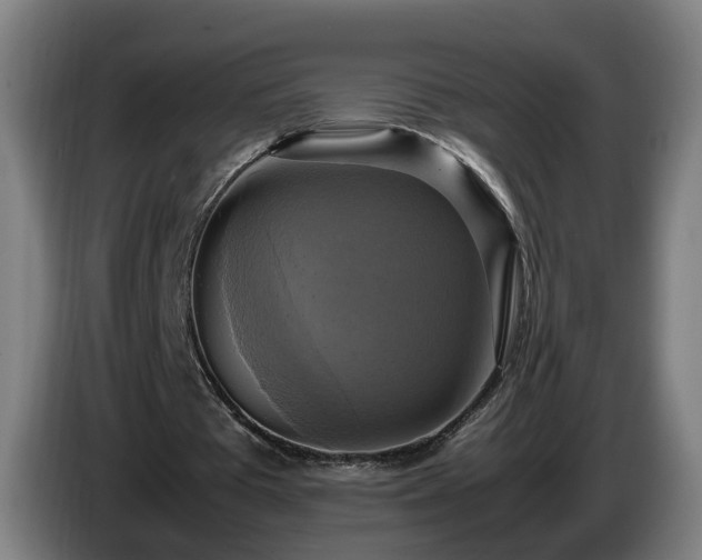 X0000086760385200704201749