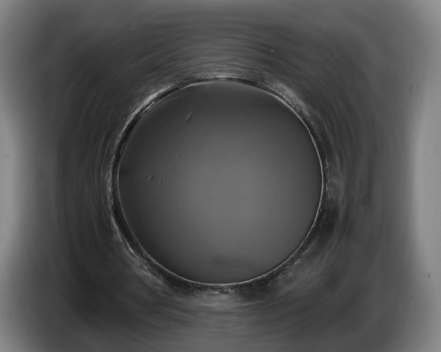 X0000086760386200704201749