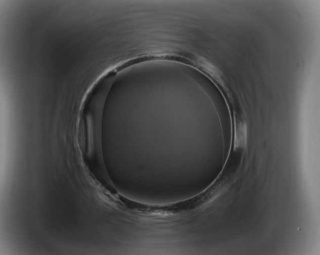 X0000086760387200704201749