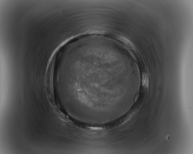 X0000086760388200704201749