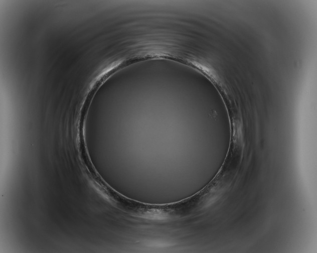 X0000086760390200704201749