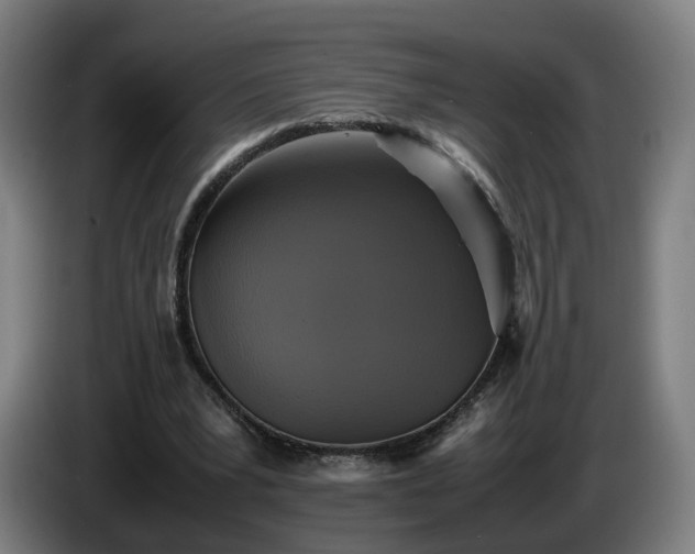 X0000086760391200704201749