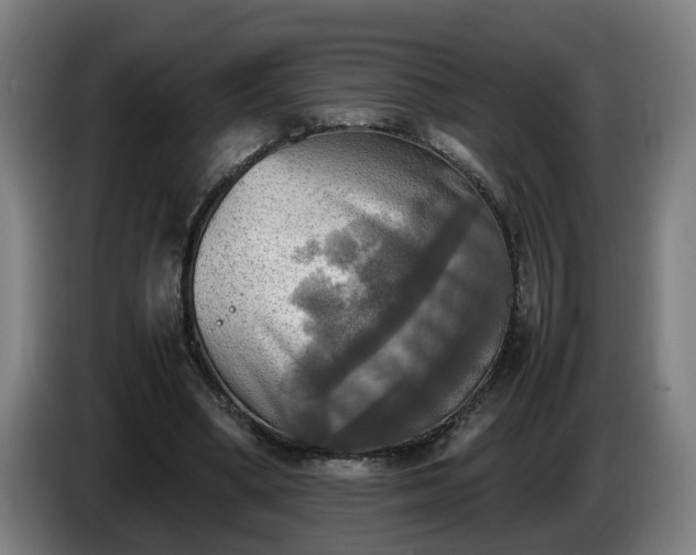 X0000086760394200704201749